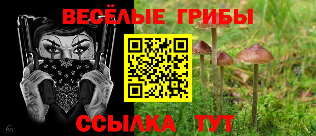 Галлюциногенные грибы мицелий  Псилоцибиновые грибы GOLDEN TEACHER  Дубна  Вход с VPN 